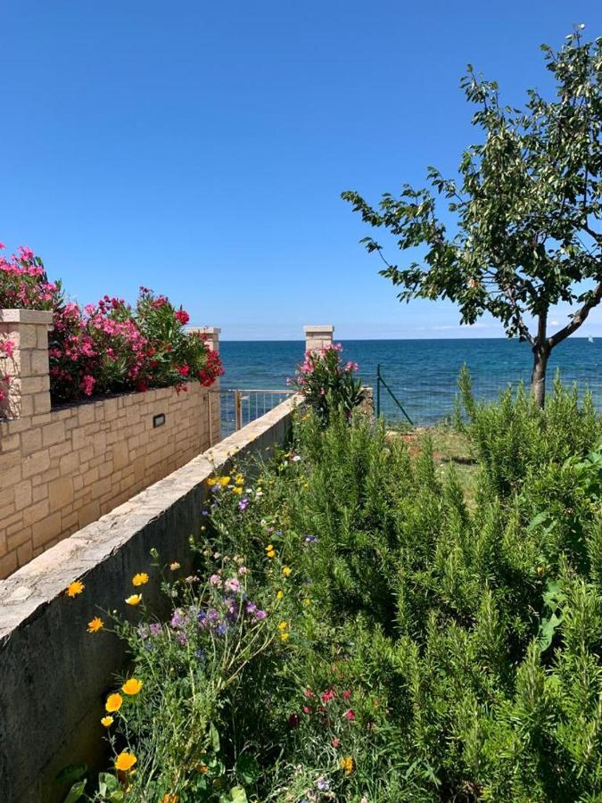 אומאג Charming Stone Cottage By The Sea מראה חיצוני תמונה