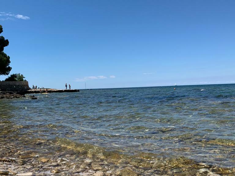אומאג Charming Stone Cottage By The Sea מראה חיצוני תמונה