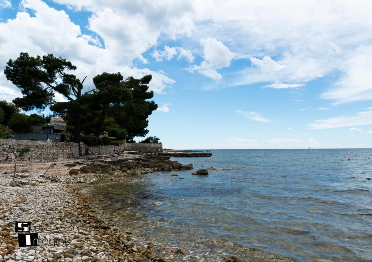 אומאג Charming Stone Cottage By The Sea מראה חיצוני תמונה