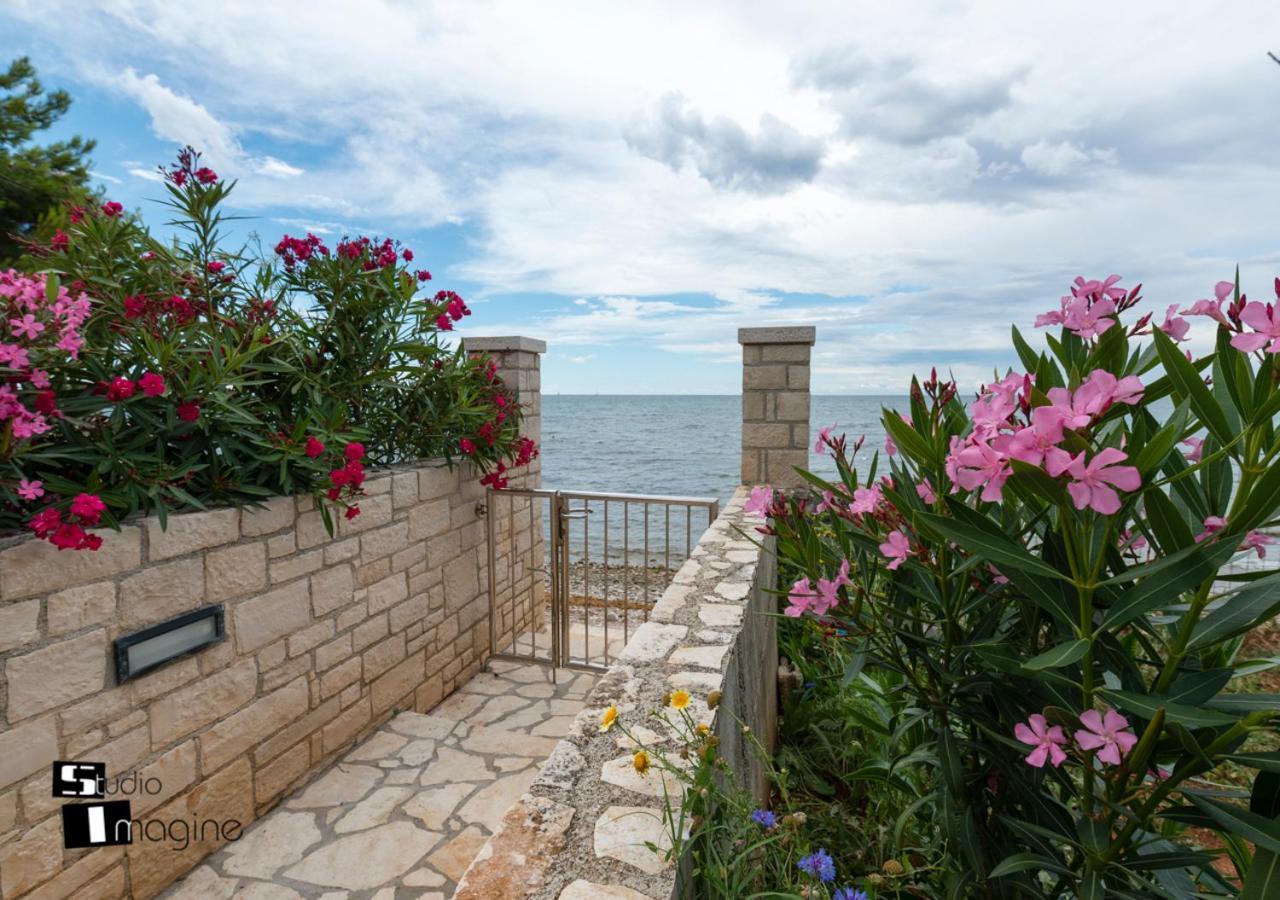 אומאג Charming Stone Cottage By The Sea מראה חיצוני תמונה